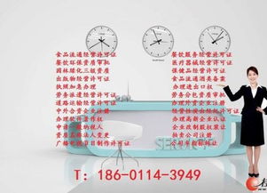 專業(yè)代理網(wǎng)絡文化經(jīng)營許可證審批 全面指南與實際操作