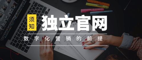離開獨立官網談數字化營銷，無異于網絡文化經營中的“無本之木”
